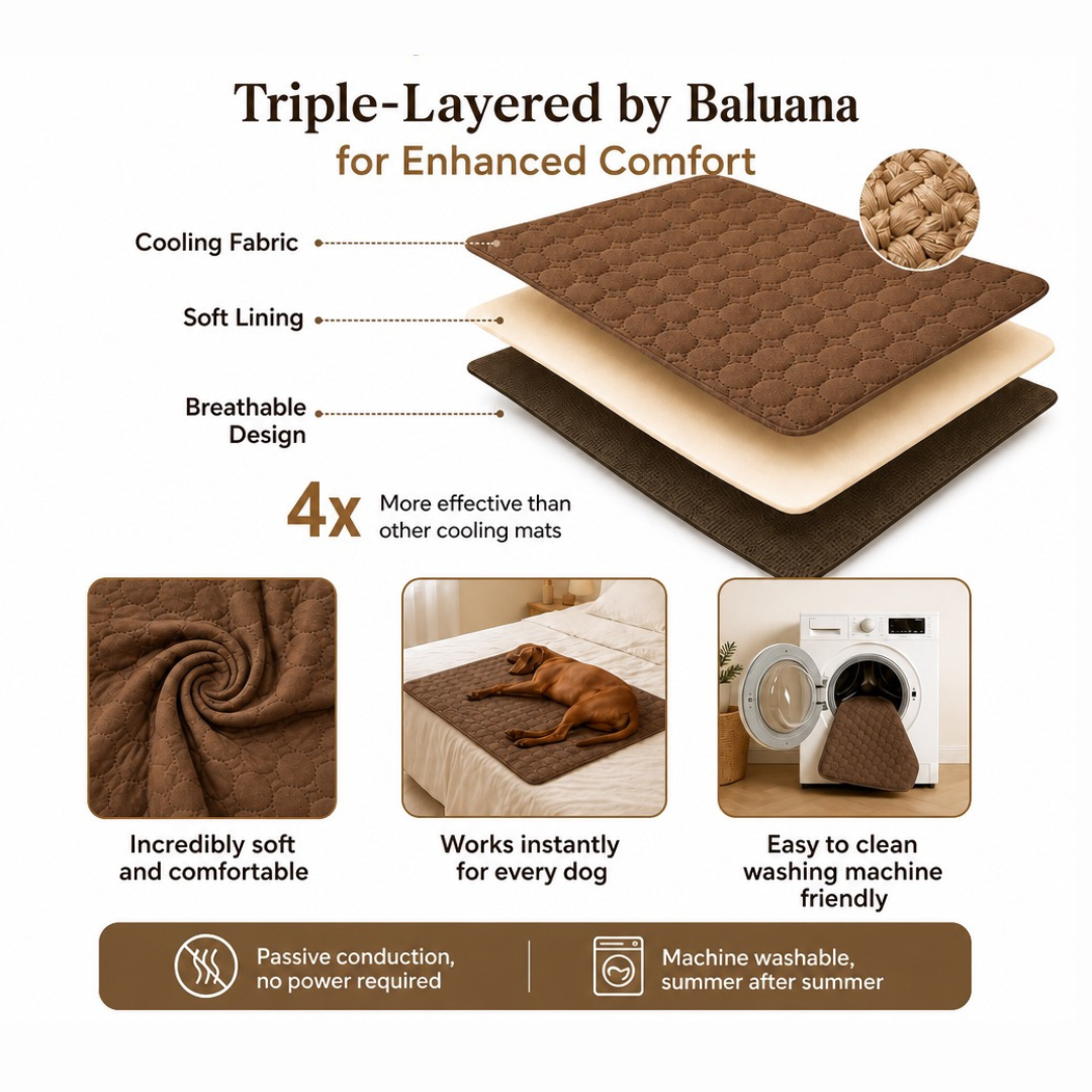 Pet Cooling Mat