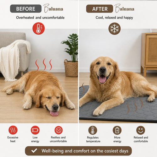 Pet Cooling Mat